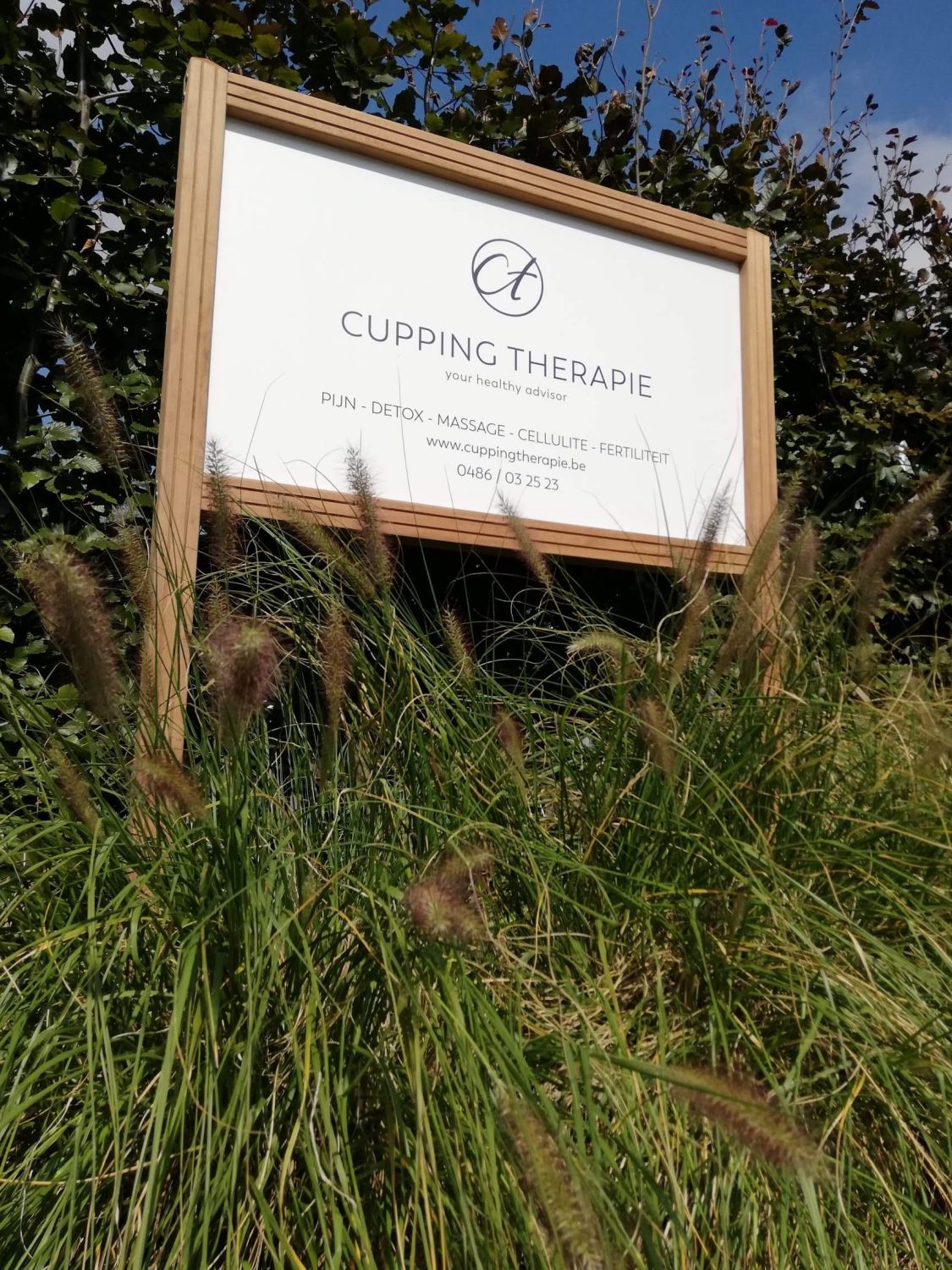 Cupping Therapie